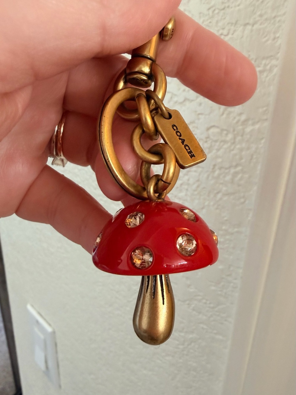 Coach Mushroom Charm